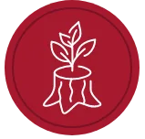 Belonging icon