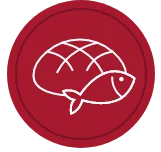 Innovation icon