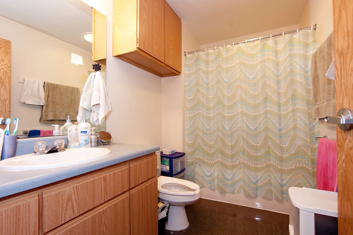 South Townhouses Bathroom